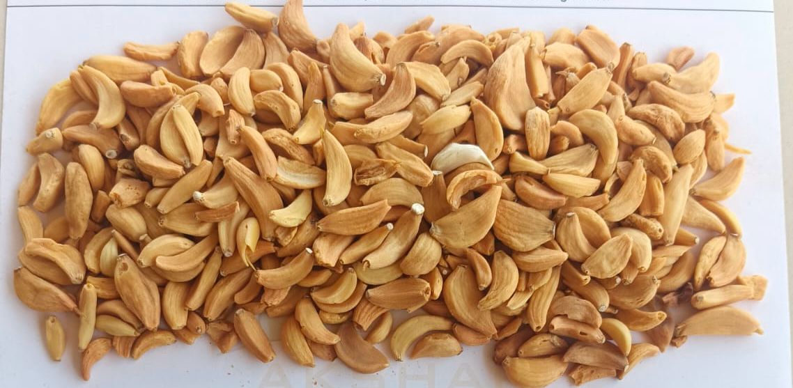 Dehydrated Garlic Flacks from British Indian Ocean Territory
